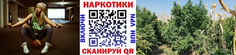 Как найти закладки Шацк Гашиш  Alpha-PVP  Меф  Героин  blacksprut как войти  Марихуана 