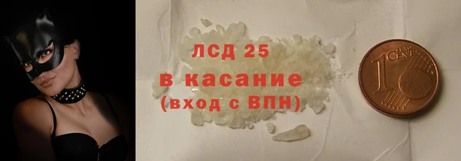 шишки Аша
